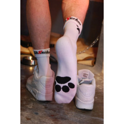 Sk8erboy Socks Puppy Sk8terboy